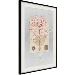 Arkiio Affisch Mysterious Tree [Poster] 40x60 Poster